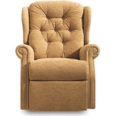 Whitney Petite Recliner Dual Motor Lift & Tilt