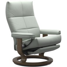 David Large Large Power Chair Dual Motor (Leg & Back)