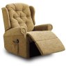 Whitney Standard Recliner Single Motor