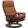 David Large Large Power Chair Dual Motor (Leg & Back) David Large Large Power Chair Dual Motor (Leg & Back)