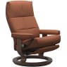 David Medium Power Chair Dual Motor (Leg & Back)